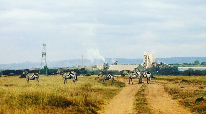 Will We Lose the World’s Only Urban National Park?