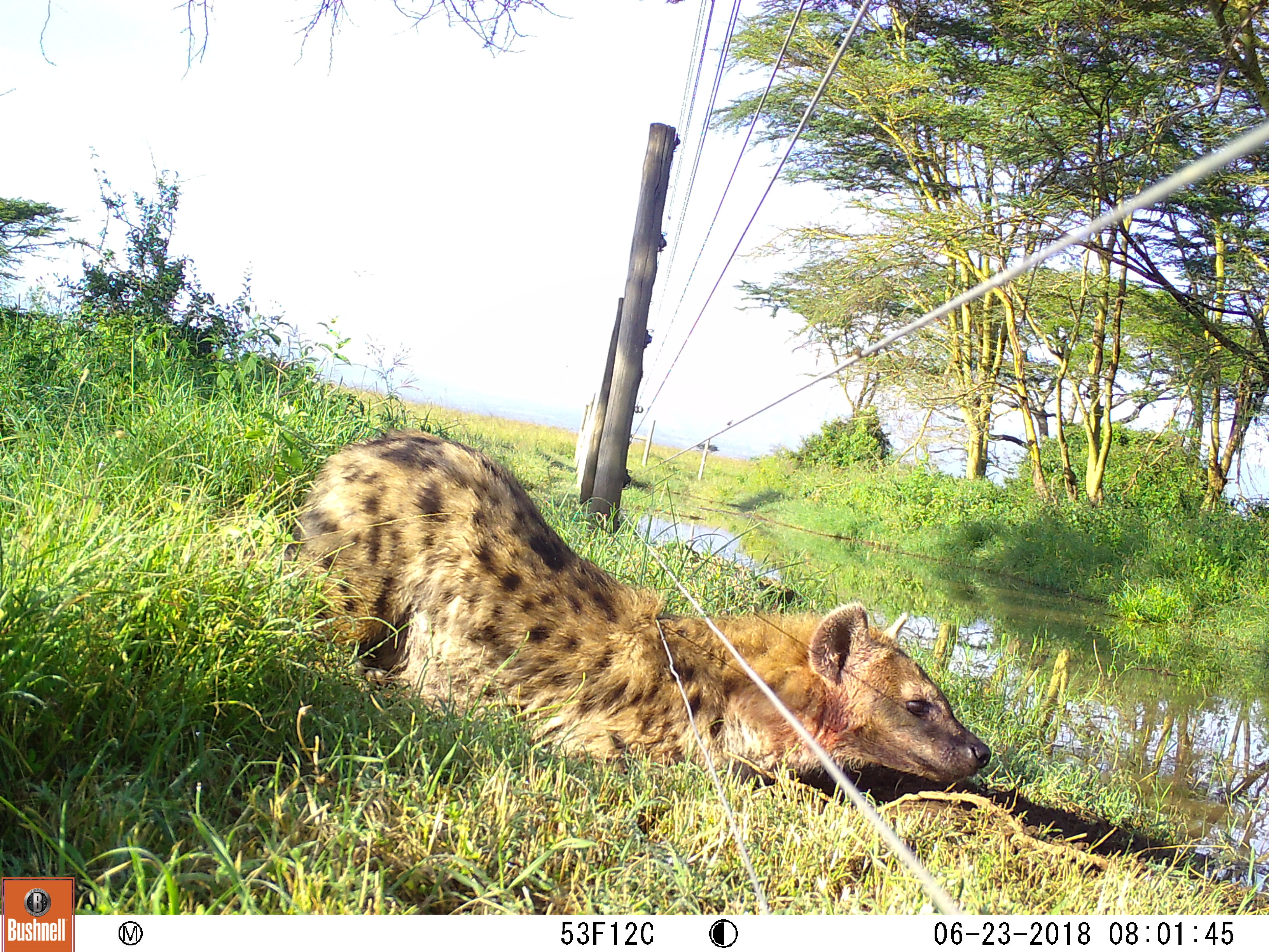 M2E67L195-195R399B413