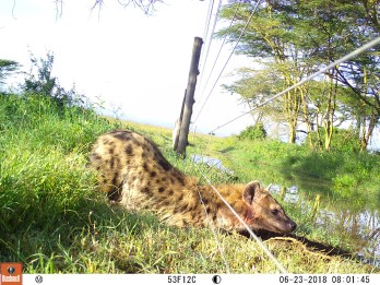 M2E67L195-195R399B413